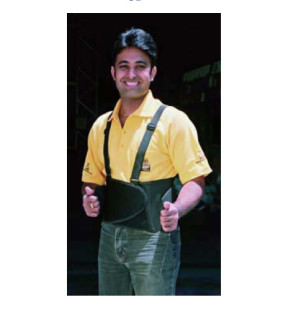Back Support Belt (Large)