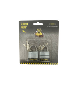 2pc 30mm Keyed alike Laminated Padlock