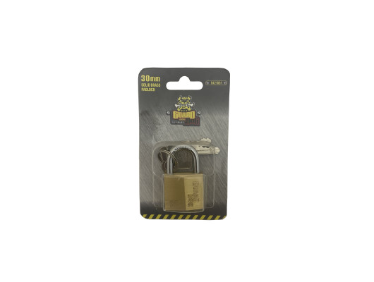 30mm Solid Brass Padlock