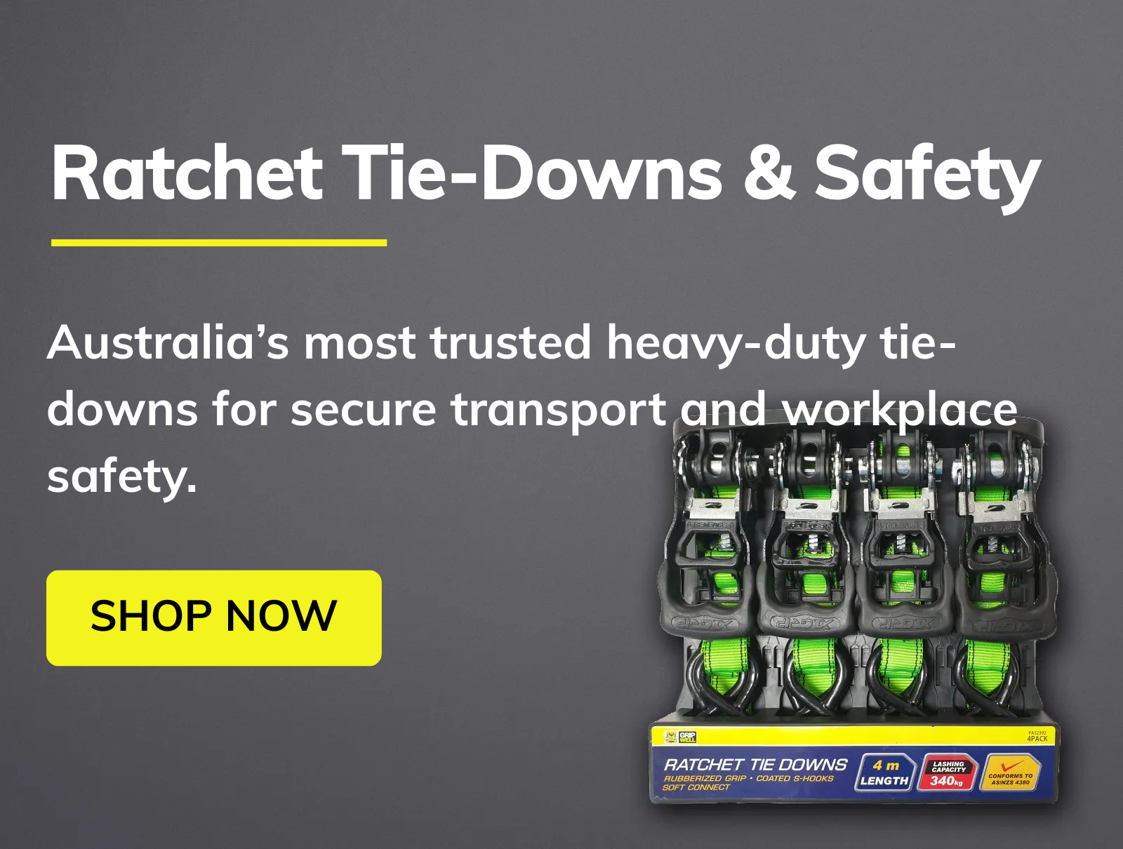 Ratchet Tie-Downs and Cambuckles